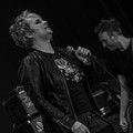 Click to enlarge GutterPunk - Professional Concert Photography
